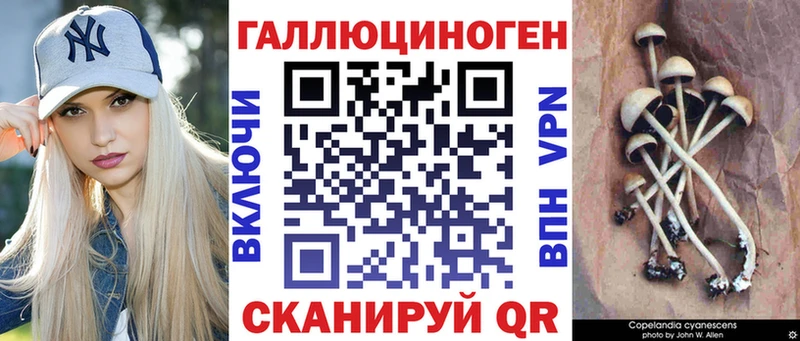 Псилоцибиновые грибы прущие грибы  Черноголовка 